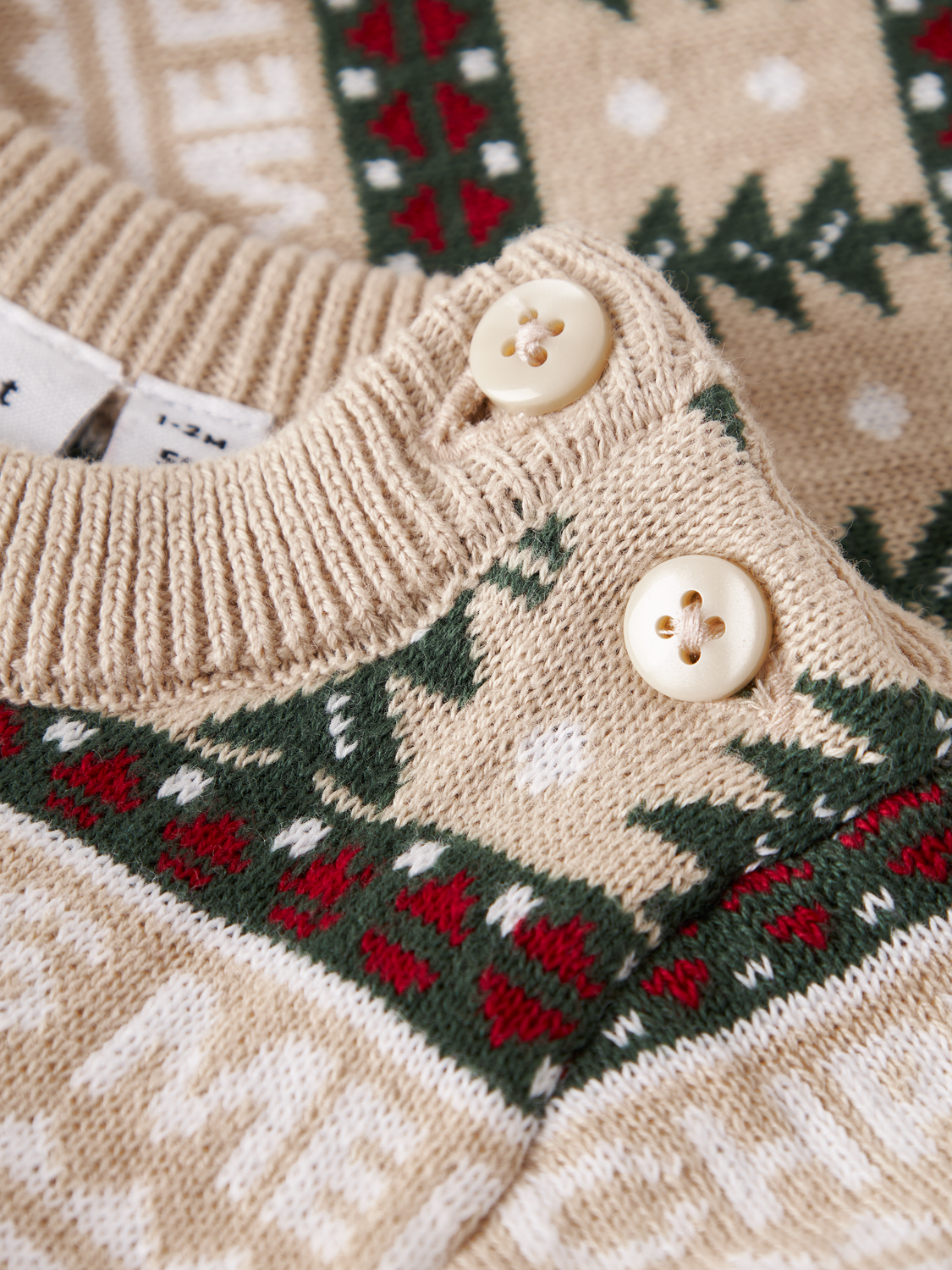 model_shot-front_full